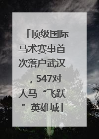 顶级国际马术赛事首次落户武汉，547对人马“飞跃”英雄城