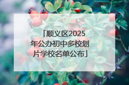 顺义区2025年公办初中多校划片学校名单公布