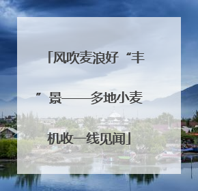风吹麦浪好“丰”景——多地小麦机收一线见闻