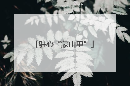 驻心“蒙山里”
