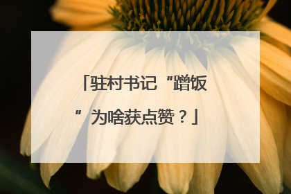 驻村书记“蹭饭”为啥获点赞？