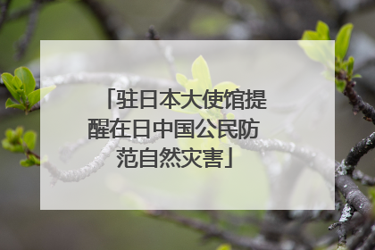 驻日本大使馆提醒在日中国公民防范自然灾害