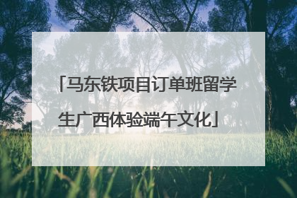 马东铁项目订单班留学生广西体验端午文化