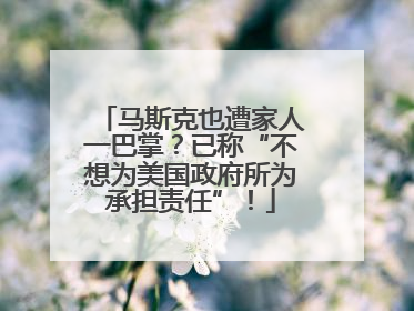 马斯克也遭家人一巴掌？已称“不想为美国政府所为承担责任”！