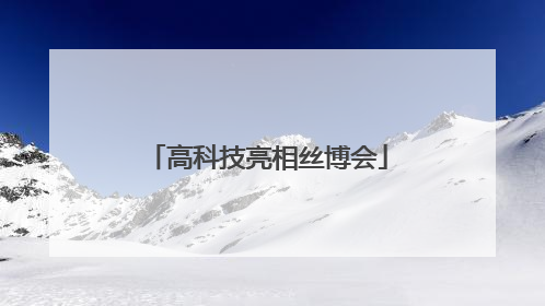 高科技亮相丝博会