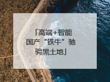 高端+智能 国产“铁牛”驰骋黑土地