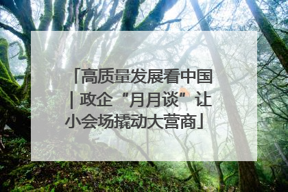 高质量发展看中国｜政企“月月谈”让小会场撬动大营商