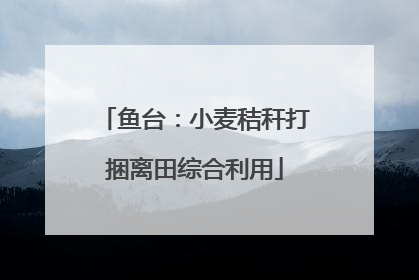 鱼台：小麦秸秆打捆离田综合利用