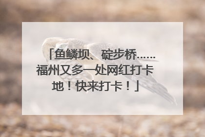 鱼鳞坝、碇步桥……福州又多一处网红打卡地！快来打卡！