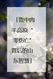 鲁中肉羊高原“零伤亡”背后的山东智慧