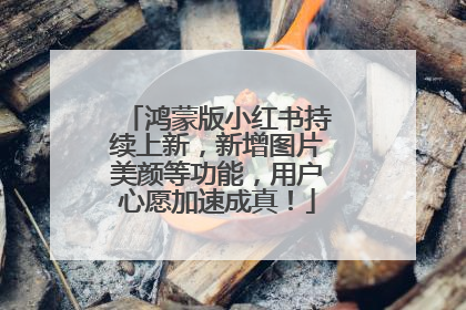 鸿蒙版小红书持续上新，新增图片美颜等功能，用户心愿加速成真！