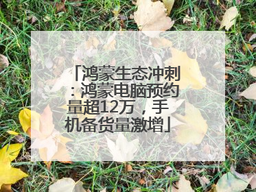 鸿蒙生态冲刺：鸿蒙电脑预约量超12万，手机备货量激增