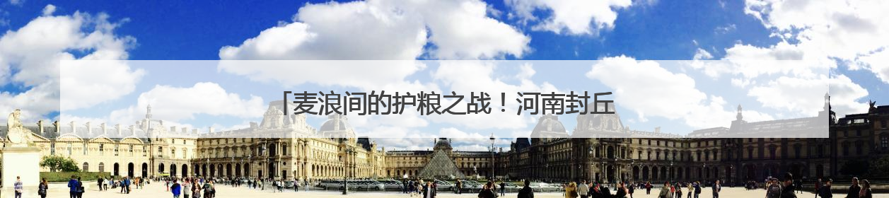 麦浪间的护粮之战！河南封丘上演农机手减损技能巅峰对决