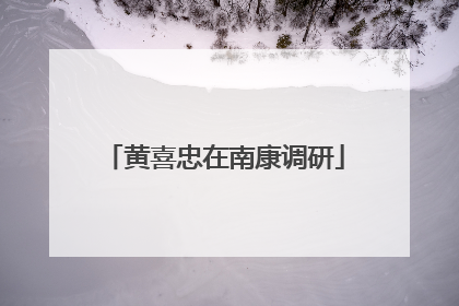 黄喜忠在南康调研