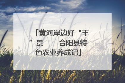 黄河岸边好“丰”景——合阳县特色农业养成记
