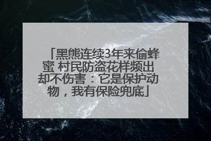 黑熊连续3年来偷蜂蜜 村民防盗花样频出却不伤害：它是保护动物，我有保险兜底