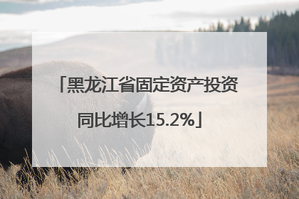黑龙江省固定资产投资同比增长15.2%