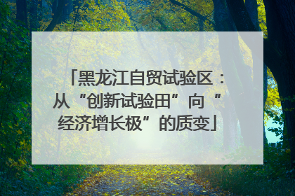 黑龙江自贸试验区：从“创新试验田”向“经济增长极”的质变