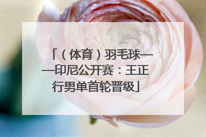 （体育）羽毛球——印尼公开赛：王正行男单首轮晋级