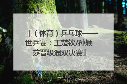 （体育）乒乓球——世乒赛：王楚钦/孙颖莎晋级混双决赛