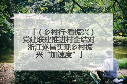 （乡村行·看振兴）党建联建推进村企结对 浙江遂昌实现乡村振兴“加速度”