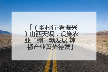 （乡村行·看振兴）山西天镇：设施农业“棚”勃发展 辣椒产业蓄势待发