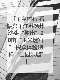 （乡村行·看振兴）江苏扬州沙头“种出”20亩“玉米迷宫” 民众体验别样“田园乐趣”