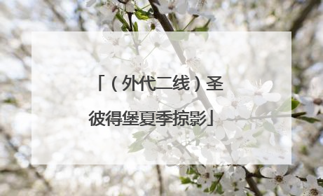 （外代二线）圣彼得堡夏季掠影