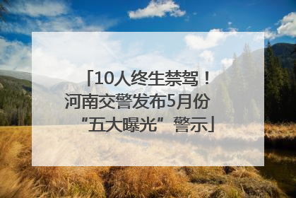 10人终生禁驾！河南交警发布5月份“五大曝光”警示