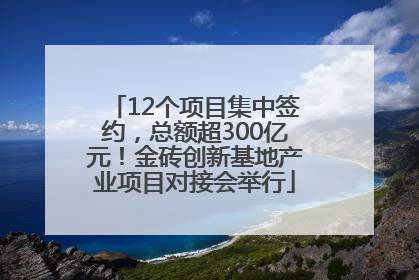 12个项目集中签约，总额超300亿元！金砖创新基地产业项目对接会举行