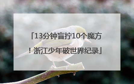 13分钟盲拧10个魔方！浙江少年破世界纪录