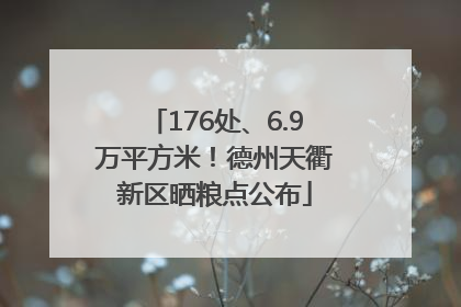 176处、6.9万平方米！德州天衢新区晒粮点公布
