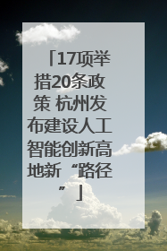 17项举措20条政策 杭州发布建设人工智能创新高地新“路径”