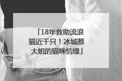 18年救助流浪猫近千只！冰城蔡大姐的猫咪情缘