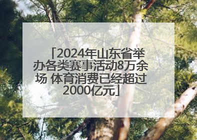 2024年山东省举办各类赛事活动8万余场 体育消费已经超过2000亿元