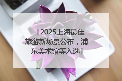 2025上海最佳旅游新场景公布，浦东美术馆等入选