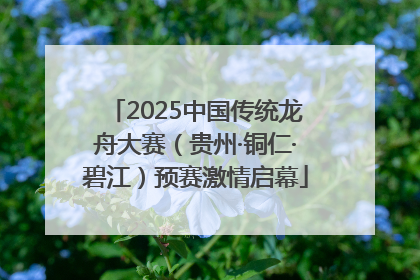 2025中国传统龙舟大赛（贵州·铜仁·碧江）预赛激情启幕