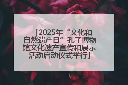 2025年“文化和自然遗产日”孔子博物馆文化遗产宣传和展示活动启动仪式举行