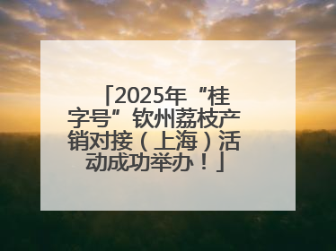 2025年“桂字号”钦州荔枝产销对接（上海）活动成功举办！