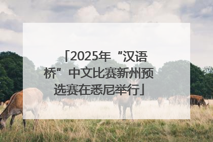 2025年“汉语桥”中文比赛新州预选赛在悉尼举行