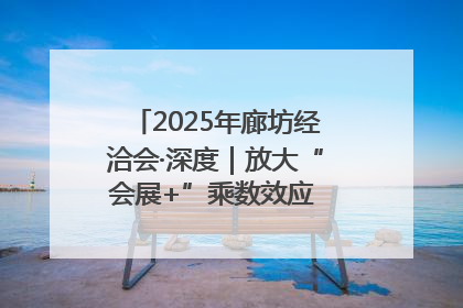 2025年廊坊经洽会·深度｜放大“会展+”乘数效应 打造消费新场景