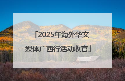 2025年海外华文媒体广西行活动收官