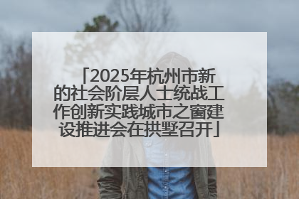 2025年杭州市新的社会阶层人士统战工作创新实践城市之窗建设推进会在拱墅召开