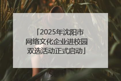 2025年沈阳市网络文化企业进校园双选活动正式启动