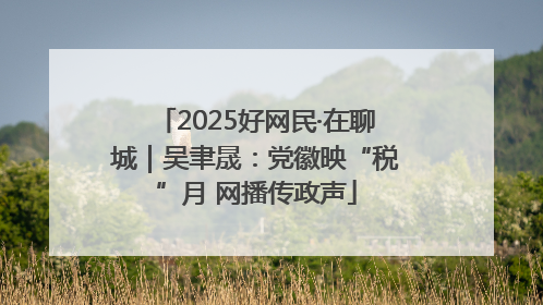 2025好网民·在聊城｜吴聿晟：党徽映“税”月 网播传政声