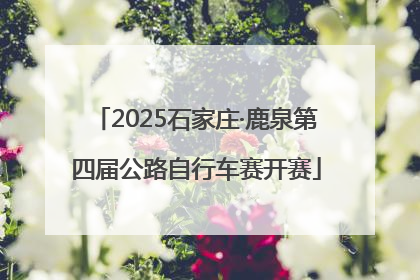 2025石家庄·鹿泉第四届公路自行车赛开赛