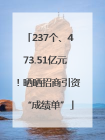 237个、473.51亿元！晒晒招商引资“成绩单”