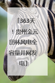 363天！贵州金元田林风电全容量并网发电