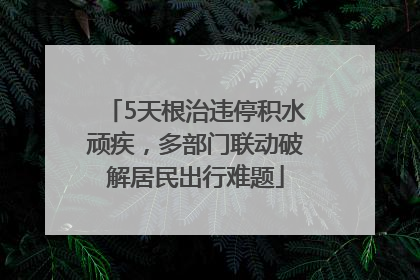 5天根治违停积水顽疾，多部门联动破解居民出行难题