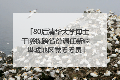 80后清华大学博士于晓栋跨省份调任新疆塔城地区党委委员